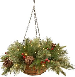 20in Pre-Lit Colonial Fir Christmas Hanging Basket