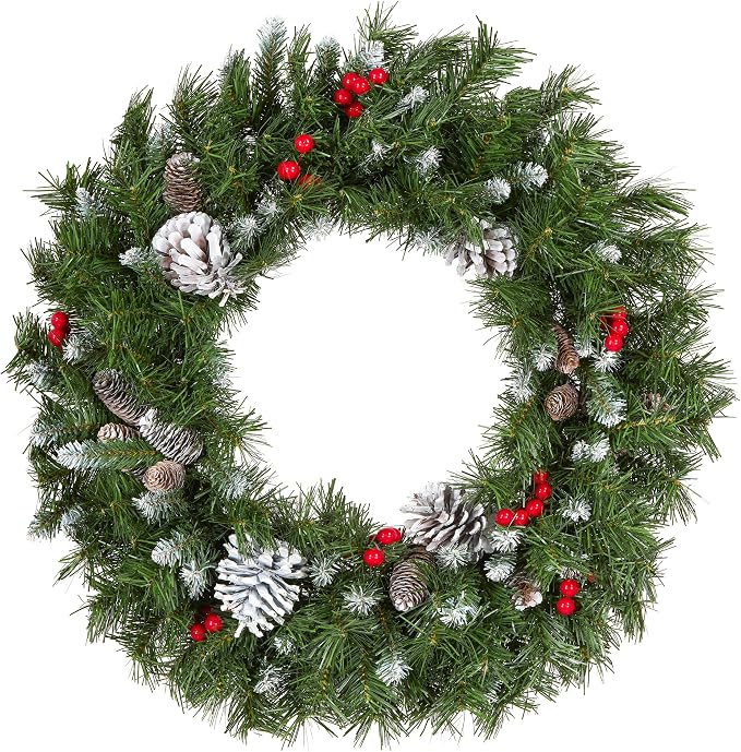 24in Unlit Frosted Berry Artificial Christmas Wreath