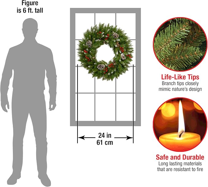 24in Unlit Frosted Berry Artificial Christmas Wreath