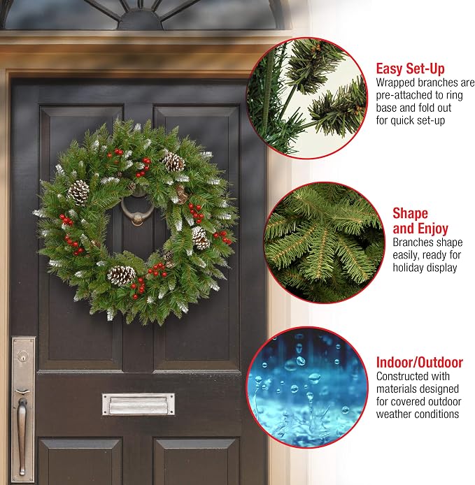 24in Unlit Frosted Berry Artificial Christmas Wreath
